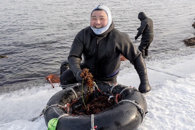 ギンナンソウって知ってる 稚内市の極寒の海で行われる漁に密着 北海道ファンマガジン