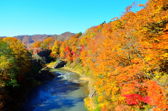 道内屈指の紅葉スポット滝の上公園で開催 復活 夕張もみじ祭り 北海道ファンマガジン