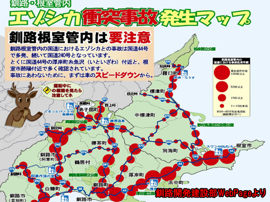 エゾシカ衝突事故を起こさないために 北海道ファンマガジン