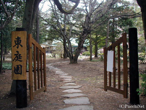 石狩空知の桜スポット