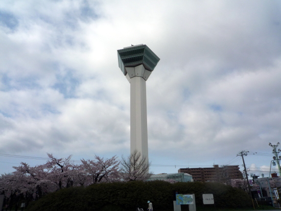 道南の桜スポット