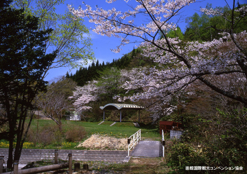 道南の桜スポット