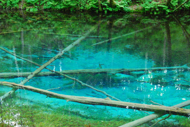 ただいま人気上昇中 透明感あるブルーが美しい 神の子池 北海道ファンマガジン