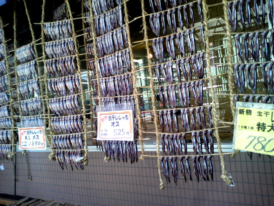 北海道の秋の味覚 鵡川で有名な本物のシシャモ 柳葉魚 とは 北海道ファンマガジン