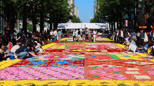 北３条広場にカラフルな花の絨毯が出現! 8万本のバラで作った大傑作