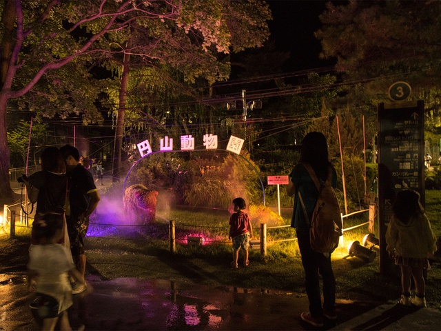 円山動物園は夜も楽しい！おとなも子供も楽しめる「夜の動物園」