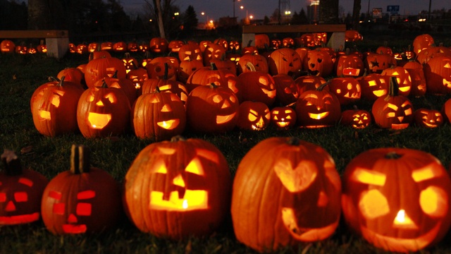 恵庭でジャック オー ランタン15個並べてギネス世界記録達成 北海道ファンマガジン