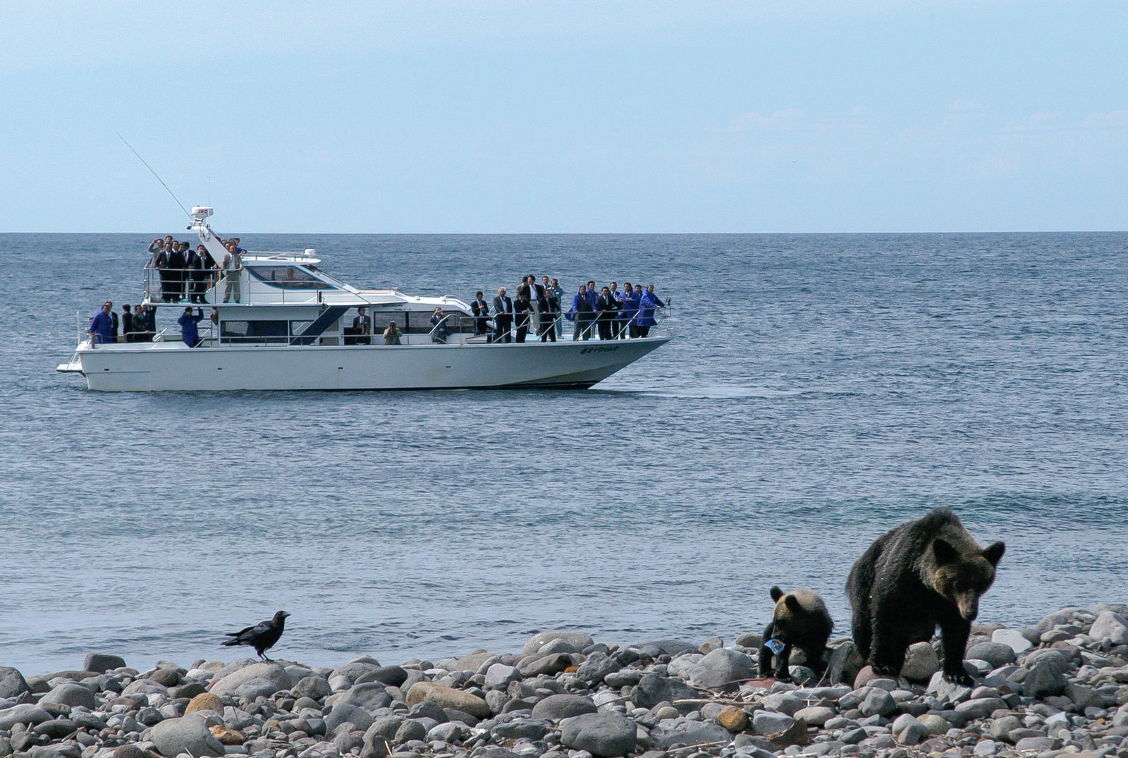 高確率で野生の熊を海から見られる！「知床半島ウトロクルーズ」