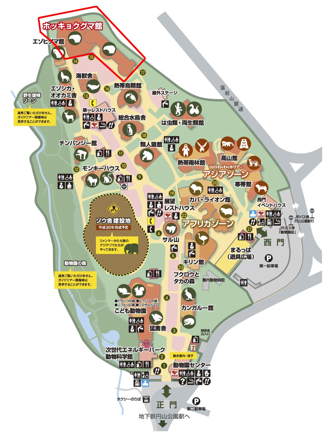 円山動物園にオープンしたホッキョクグマ館の楽しみ方を教えます 北海道ファンマガジン