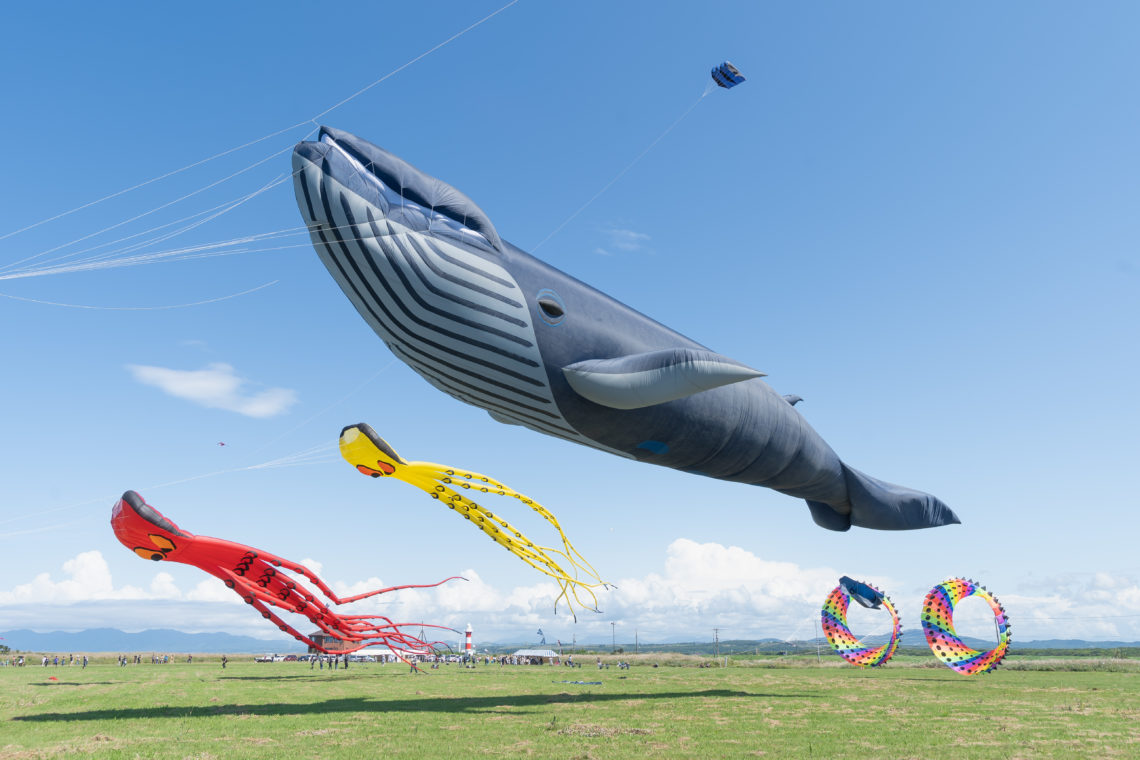 30メートルの凧が空を泳ぐ 石狩本町カイトフェスティバル初開催 北海道ファンマガジン
