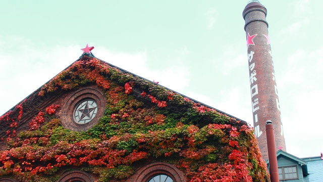 紅葉シーズンの真っ赤な蔦がキレイ！蔦に覆われた北海道の建築物巡り