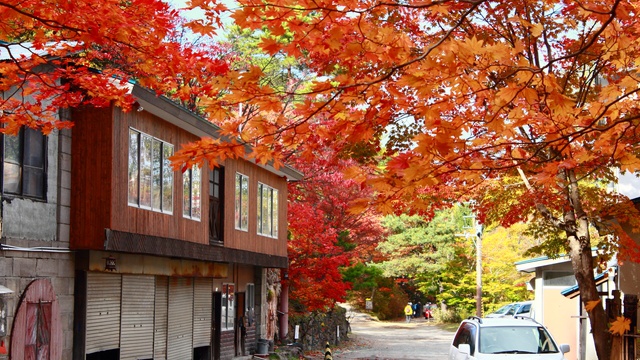 札幌の穴場的紅葉を探している人にオススメ！日本庭園の「紅桜公園」