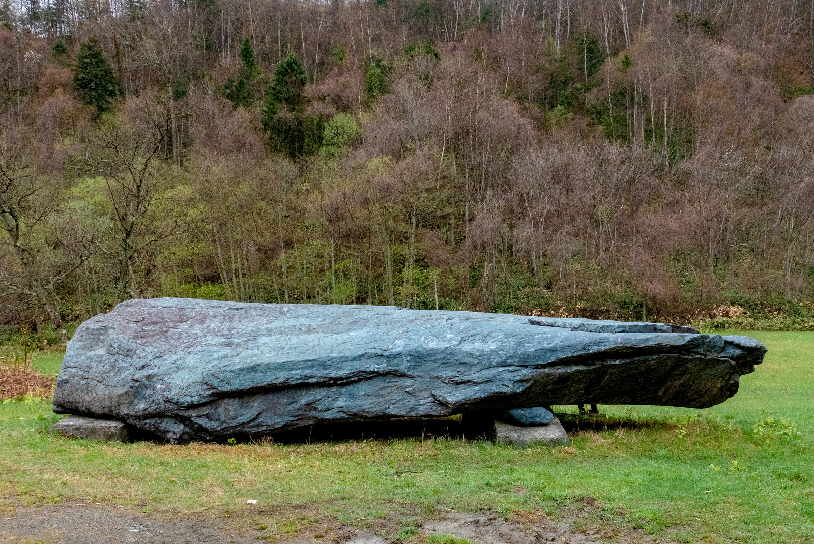 見た目は戦艦？クジラ？日本最大の結晶片岩 日高町「チロロの巨石」