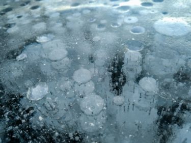アイスバブルはなぜ発生する？湖がピュンピュン鳴きながら凍るのはなぜ？