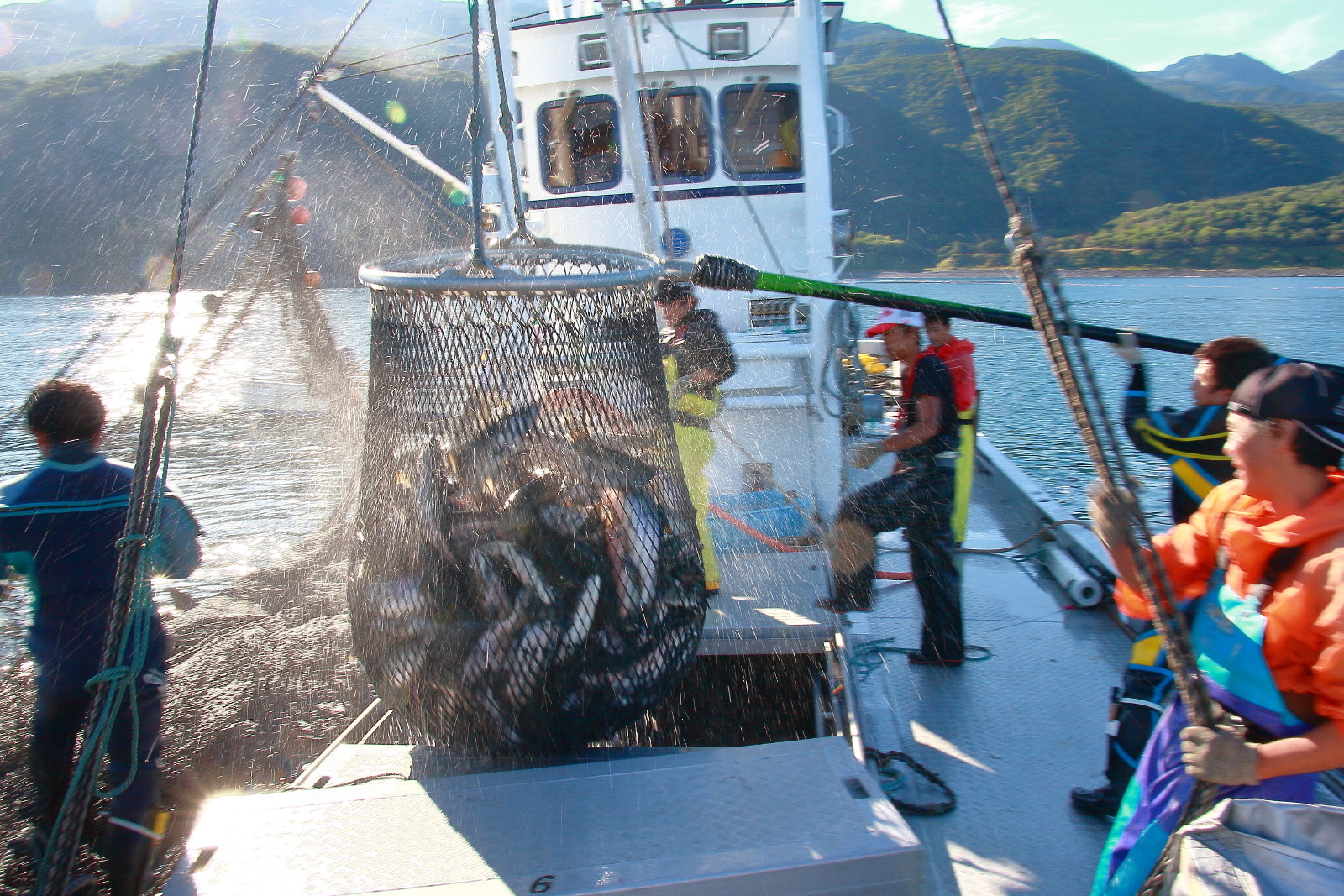 鮭の漁獲量が日本一！知床ウトロで秋鮭漁に密着してきました！