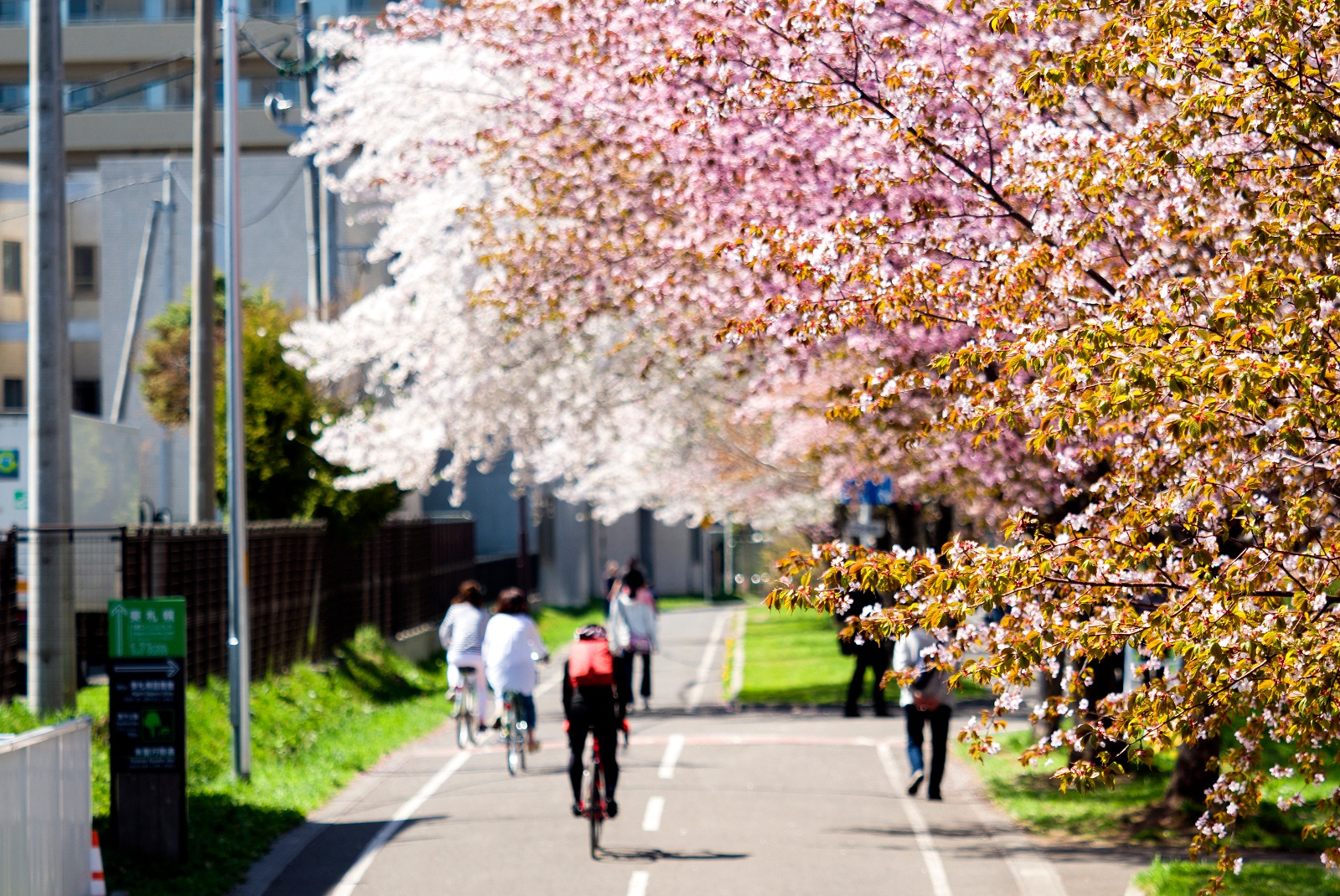 札幌から北広島へサイクリング！道道札幌恵庭自転車道線を走ってみた