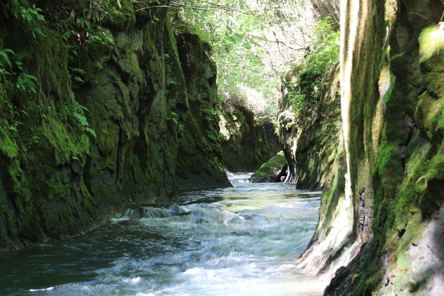 緑の岩肌と木漏れ日の共演―大自然が作り上げた奇観「樽前ガロー」