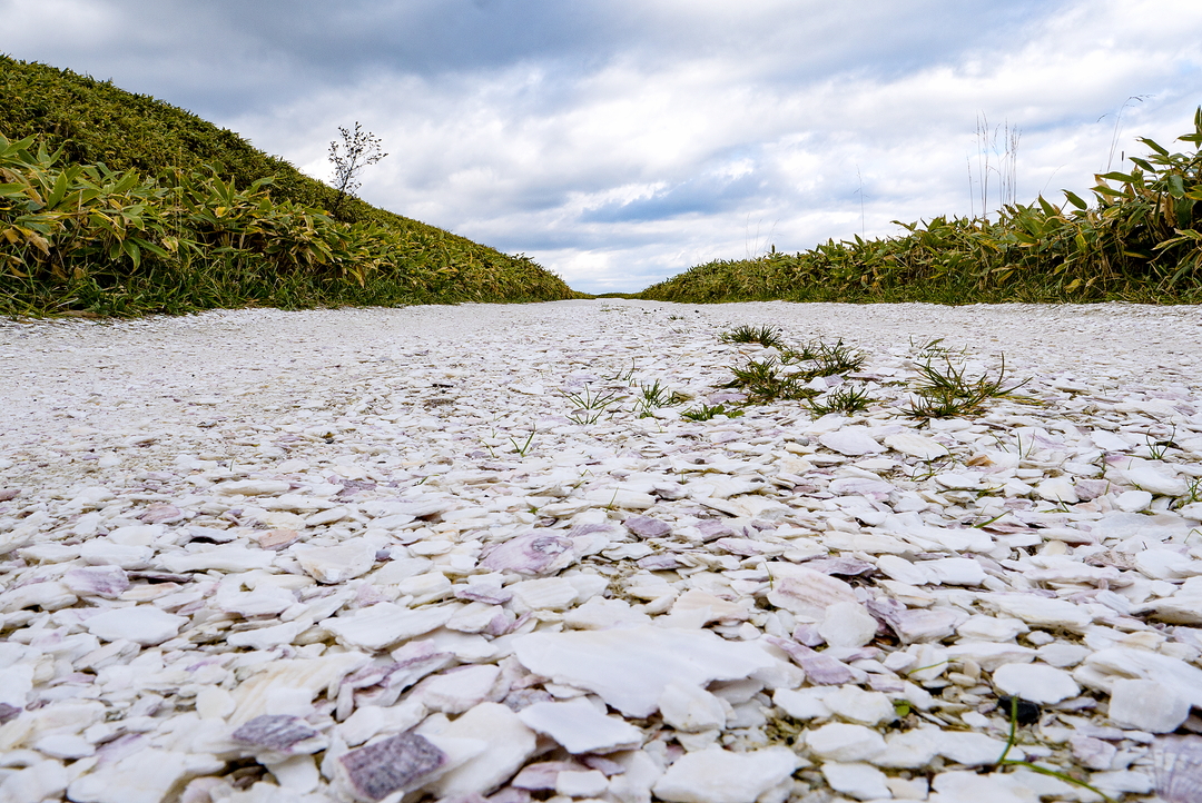 サハリンも望む3 の絶景ルート 稚内宗谷丘陵 白い道 の正体とは 北海道ファンマガジン